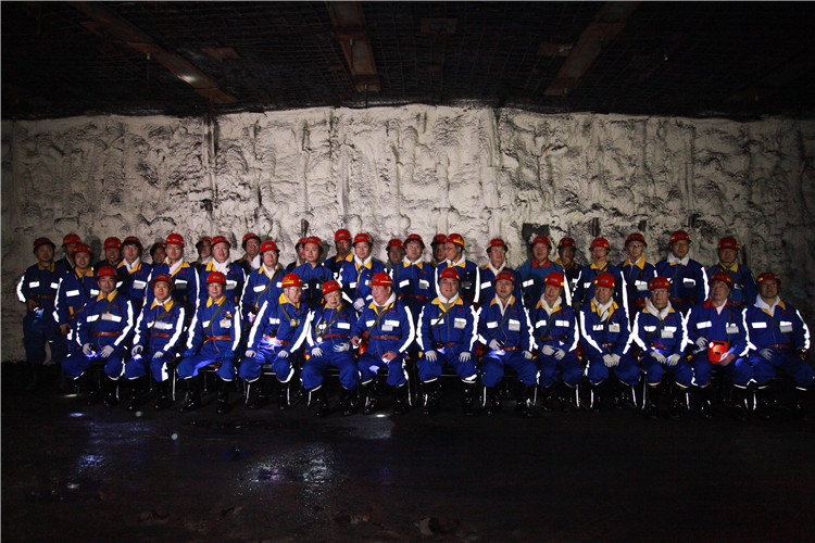 創(chuàng)新聯(lián)盟專家團(tuán)隊(duì)在陜煤（右起左四為何滿潮院士、宋振騏院士、張鐵崗院士、煤炭工業(yè)協(xié)會副理事長劉峰